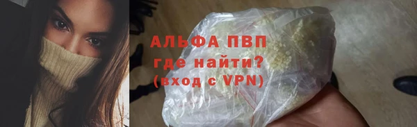 прущие грибы Балабаново