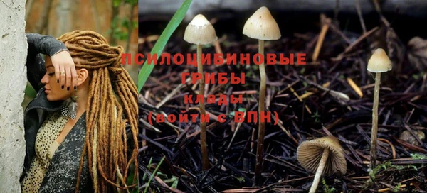 тгк Беломорск