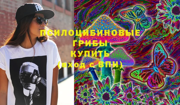 дурь Белокуриха