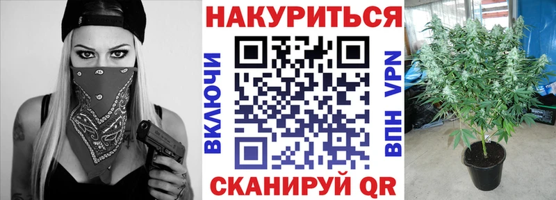 OMG как войти  Михайловка  Каннабис OG Kush 